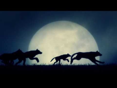 Sir Albash - Veq per lezet  (2019)