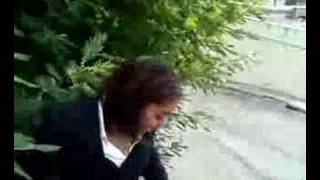 moi ds la foret de mimosa