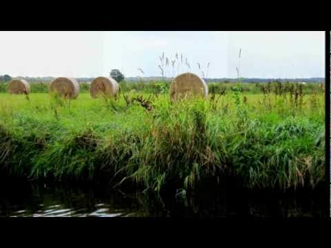 Kid Kopphausen - Schritt für Schritt