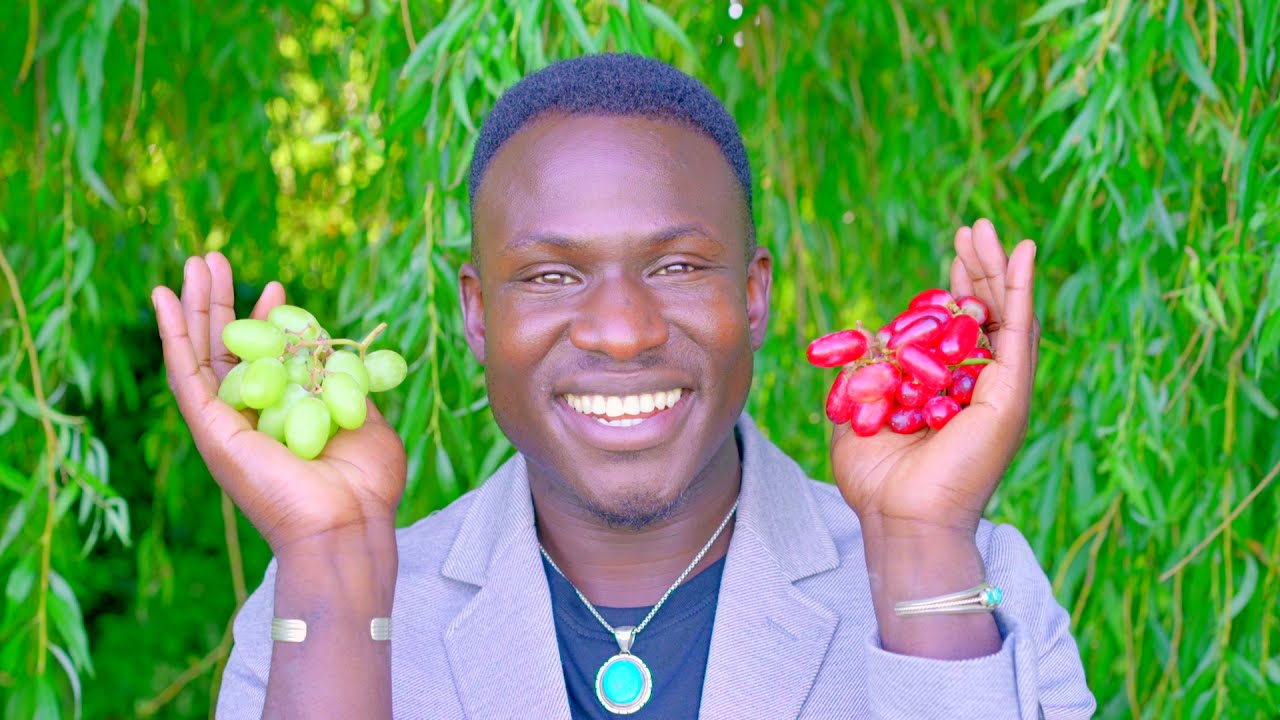 How to Start A Plant Based Food Diet (According to A Vegan of 12 Years)