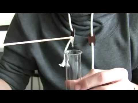 Isolierung der DNA aus Tomaten #dna #extraction #extraktion #tomaten