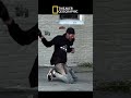 Winnie The Tweaker #fypシ #comedyfilms #helpmemakethismakesense #funny #nature #honey