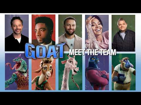 Meet the Team