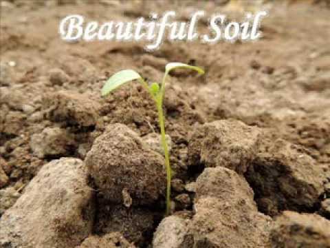 David Munyon & Mary's Band - Beautiful Soil