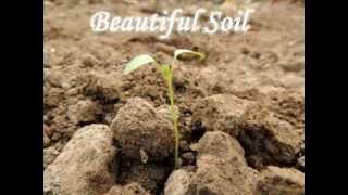 David Munyon & Mary's Band - Beautiful Soil