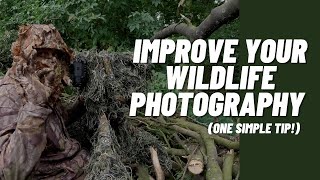 This WILL Improve Your Wildlife Photography! (Photography Permissions Explained)
