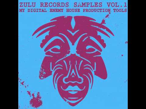 Zulu Records Samples Vol. 1 My Digital Enemy House Production Tools - Demo Track