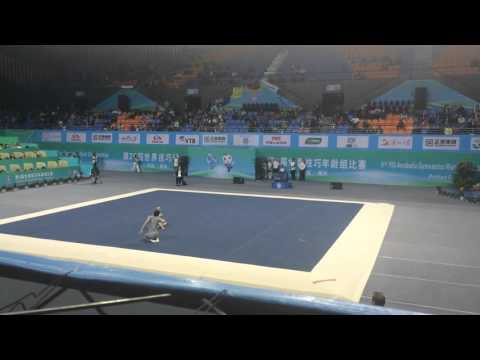 World Acrobatic Championships 2016 12-18 GBR mixed pair FINAL Combined routine