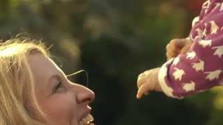 CLIP GONE / HARLAN COBEN / UNE CHANCE DE TROP / TF1