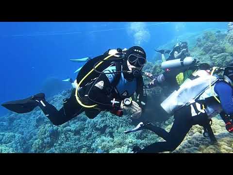 Safari Rocky Zabargad 2022 day 4 @GdyniaDive