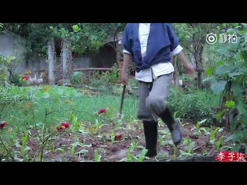 download lagu mp3 mp4 Ziki, download lagu Ziki gratis, unduh video klip Ziki