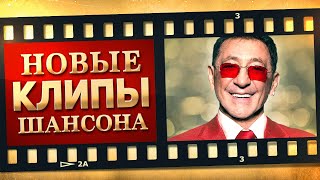 НОВЫЕ ЛУЧШИЕ ВИДЕО КЛИПЫ ШАНСОНА. Выпуск № 17 - Январь - Февраль. Сборник Хитов 2022. (12+)