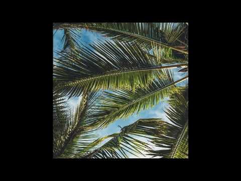 Gunna x Lil Keed x Lil Gotit x Wheezy Type Beat "SUMMER KNIGHT" (prod. by SMR)