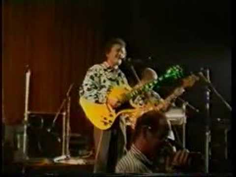 The Javalins "Hawaiian Wedding Song" Indorock