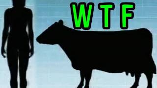 Human Cow BREAST MILK??? -- Mind Blow #18