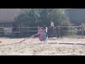 Nora de Molion Jument, 3 ans, bai , SF, toise1.65