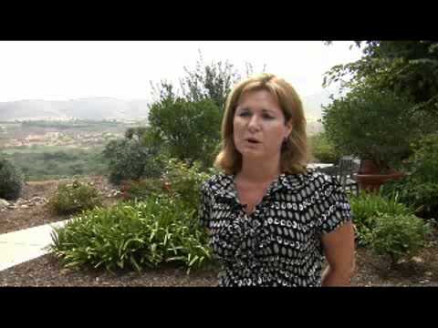 Too many cats - 2008-08-29