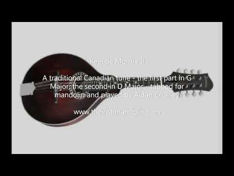 Reel De Montreal - a Canadian reel in G Major and D Major, tabbed and played by Aidan Crossey
