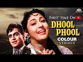 Dhool Ka Phool World S First EVER 1960 Colour Edited Rajendra Kumar Mala Sinha Ashok Kumar
