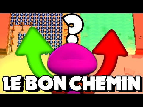 Entraînement Complet
