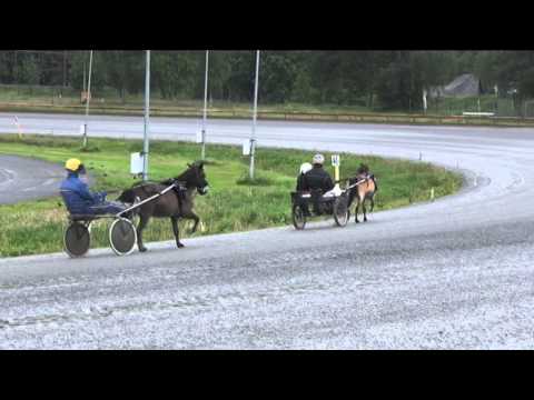 Ponnytravläger 2015 - Proffskuskarna