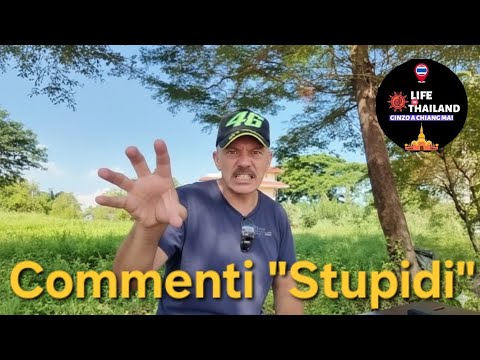 The "Stupidest" Comments I've Ever Had on My YouTube Channel🤦‍♂️😂 #Thailand #YouTube