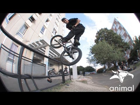 ANIMAL BIKES ROMANIAN CONNECT RAUL JULA (BMX)
