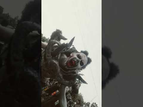 Gran parada del sur en manati atlantico