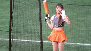 VENUS 「巨人：チアリーダー」