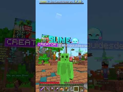 Dieser SERVER beantwortet die Minecraft Java oder Bedrock Frage!