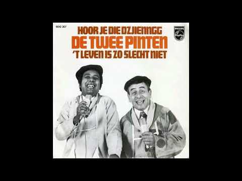 DE TWEE PINTEN - Hoor je die djjzzieennnng