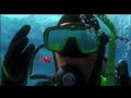 Finding Nemo 2003 Nemo Gets Captured By Phillip Sherman