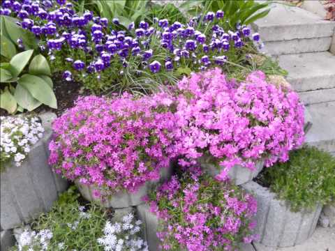 Moja záhrada jar 2014 Moja záhrada jar 2014