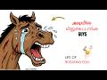 Kaatu Kuthirai Egg Odaintha Kuthirai Life Of Wild Horse Adiyila Midhuchutanga