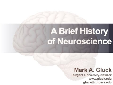 A Brief History of Neuroscience (Mark A. Gluck, Rutgers University-Newark). August, 2020.