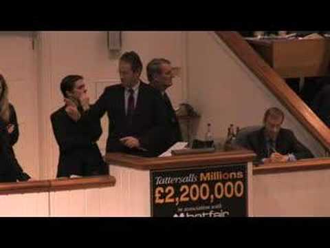 Tattersalls December Mare Sale 2007- Lot 2289