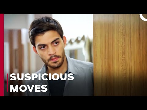 Ozan Watches Bercin's Moves - Can't Stop Loving You