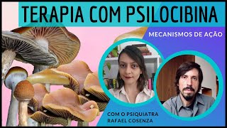 #6 Psilocibina no Tratamento de Doenças Mentais: Mecanismos de Ação