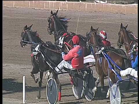 Trotto 29/04/2017 - 6ª corsa