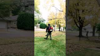 TypeWriter Formation On Fall Clean Ups🍂 #Fall Clean Up #leaves #yardwork
