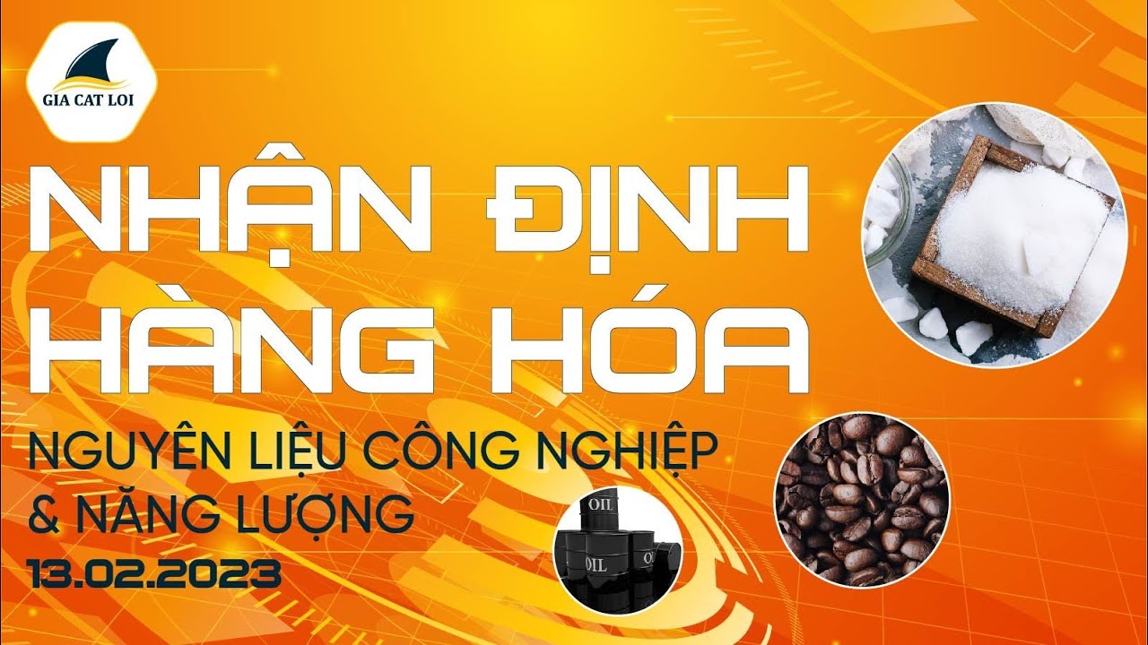 Nhận Định Hàng Hoá Năng Lượng & Nguyên Liệu Công Nghiệp Ngày 13/02/2023