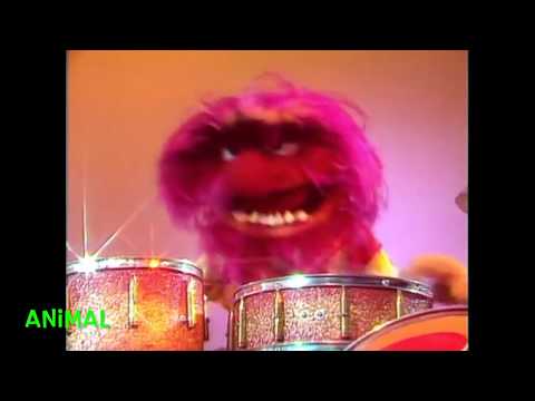 Muppet Songs: Animal - Drum Solo