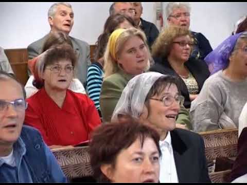 Desculti 2007 Arad - Hickory