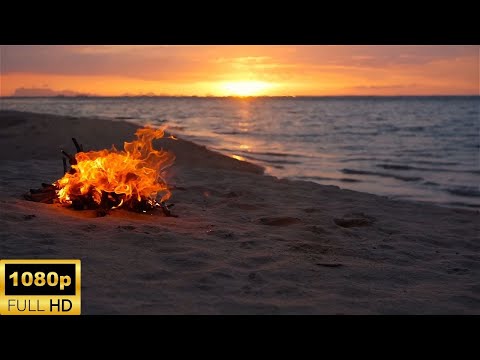 Beach Bonfire Ambience | Ocean Waves | Beach Sunset