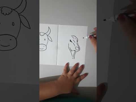 #boi #touro #fastafastaboi #leoeraphael #coutry#roça #dica #desenho #desenhandoart #desenhosdalilian