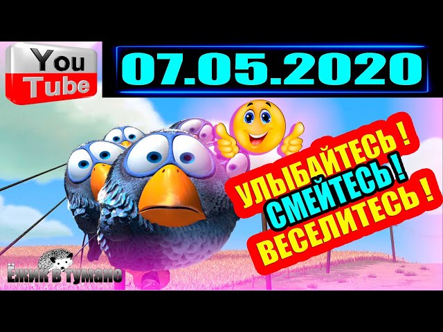 ПОДБОРКА Лучших Приколов Смешные Видео из ТИК ТОКА Приколы