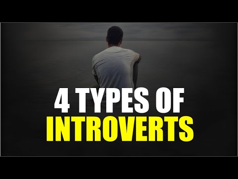 The Four Types of Introverts- Introvert Personality- By Malena Ernman