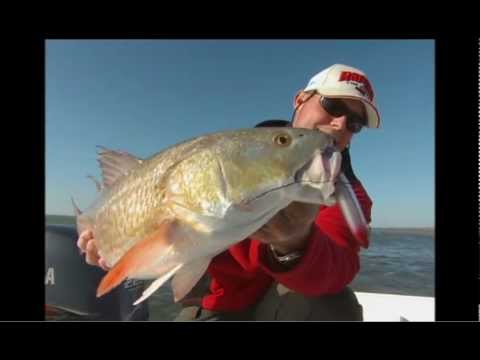 download lagu mp3 mp4 Rapala X Rap Walk 11, download lagu Rapala X Rap Walk 11 gratis, unduh video klip Rapala X Rap Walk 11