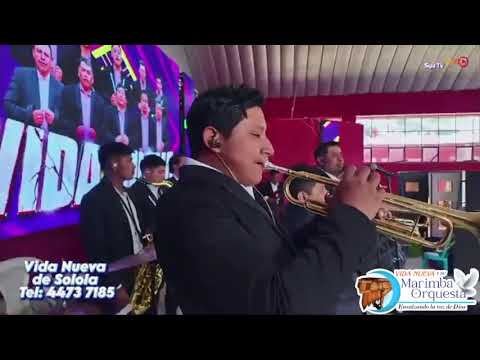 Orquesta Vida nueva de santa maría del camino en ixchiguan San marcos 