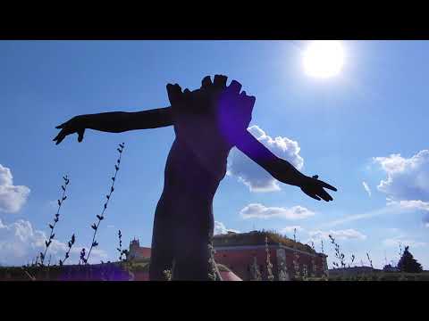 LG Velvet 5G - sample video | MOBU